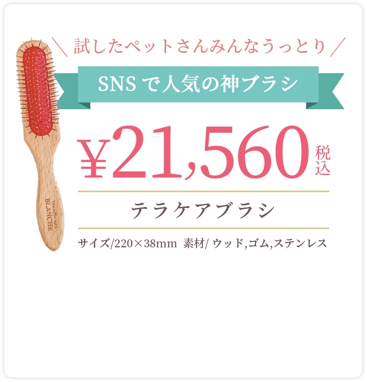 試したペットさんみんなうっとり SNSで人気の神ブラシ 21560円 テラケアブラシ